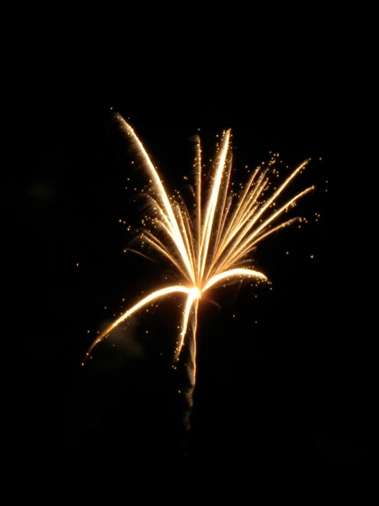 a fireworks display with the light on and show of fire