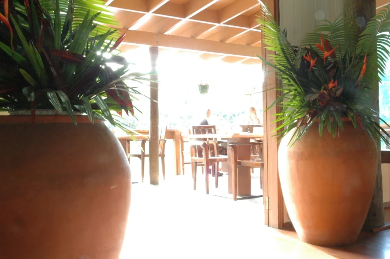 a couple of large vases filled with plants