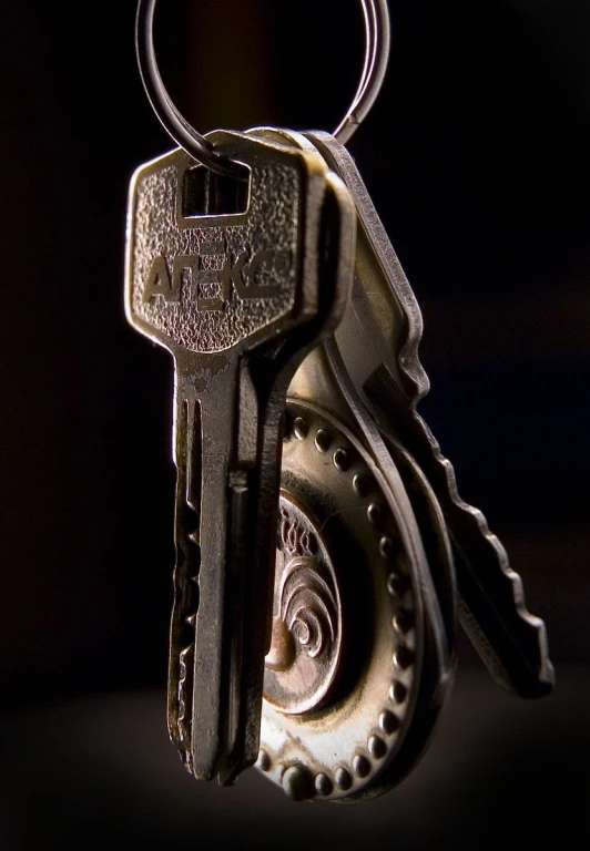 the keys are kept in a key chain