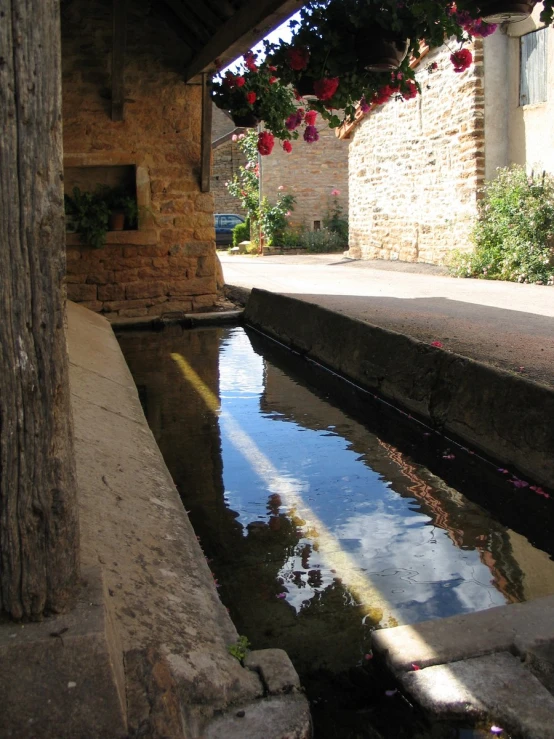 a large fish pond with flowers hanging over it