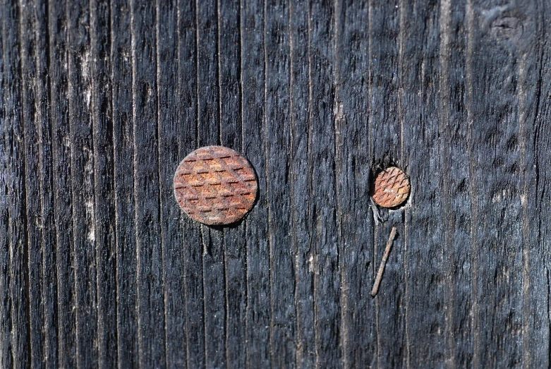 three objects are displayed against a wood surface