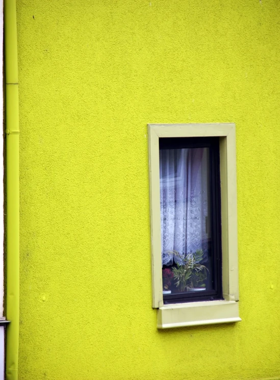 there is a window with a curtain and a potted plant in it