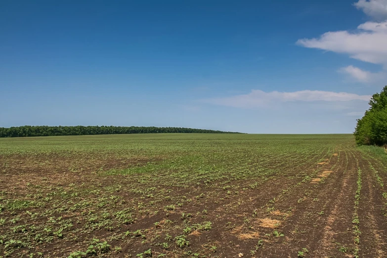 a plowed field on which there is no one tilled it