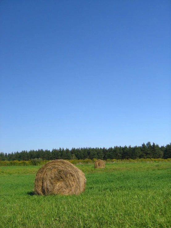 two large round hay bales in the middle of a field