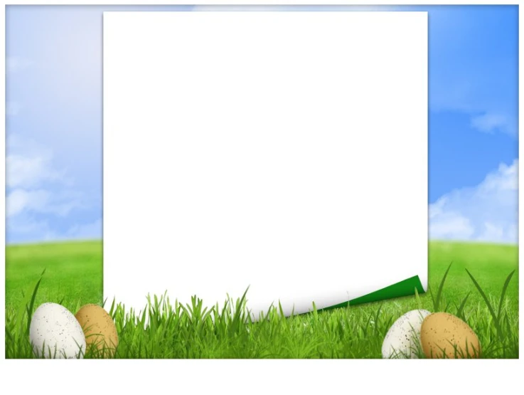 a blank sign with grass on it