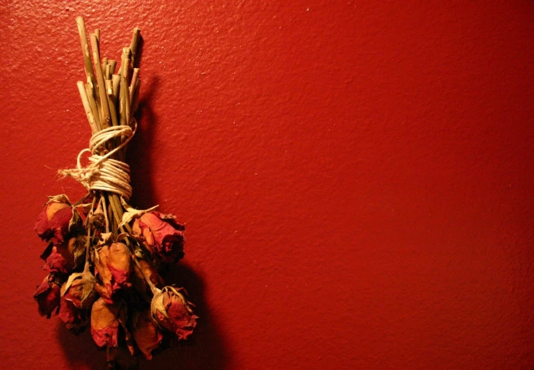 dried flowers hang from a string on a red wall