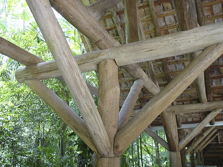 a bunch of logs are hanging from a roof