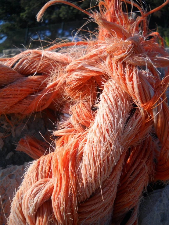 a closeup of some orange yarn by some trees