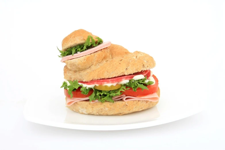 a sandwich on a white plate against a white background