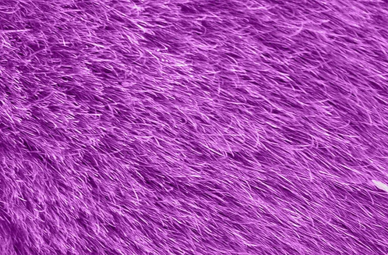 a purple rug that is very soft and fuzzy