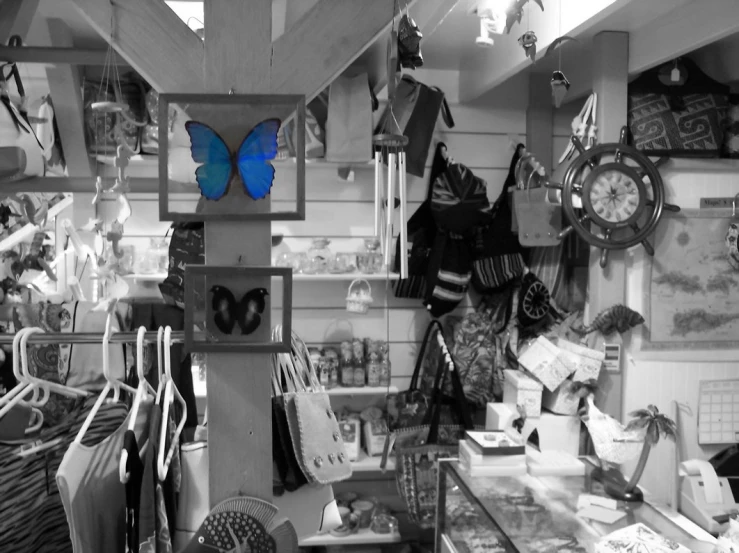 the blue erfly is on the wall above the kitchen counter