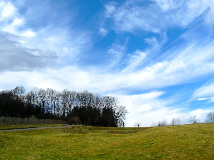 a grassy field under a blue sky filled with clouds