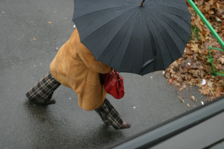 the person is carrying an umbrella over their head