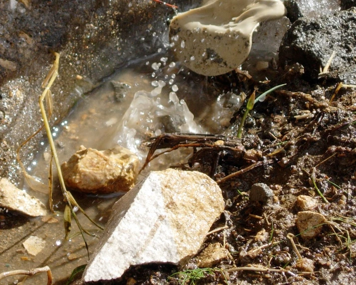 an area with a stream, rocks and grass