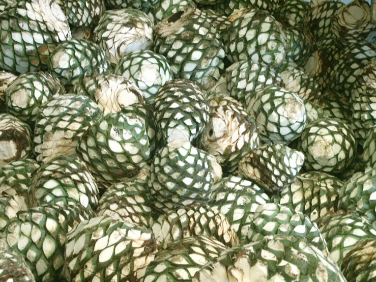 several large pieces of green and white net