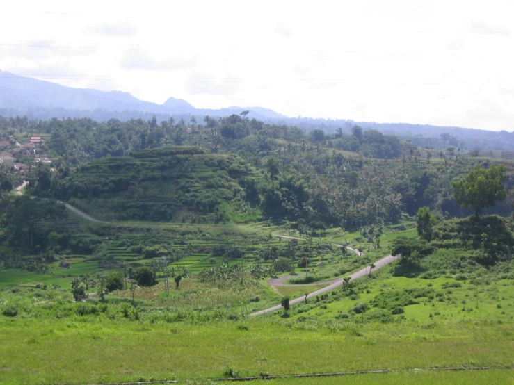 a lush green countryside on a mountain with winding roads