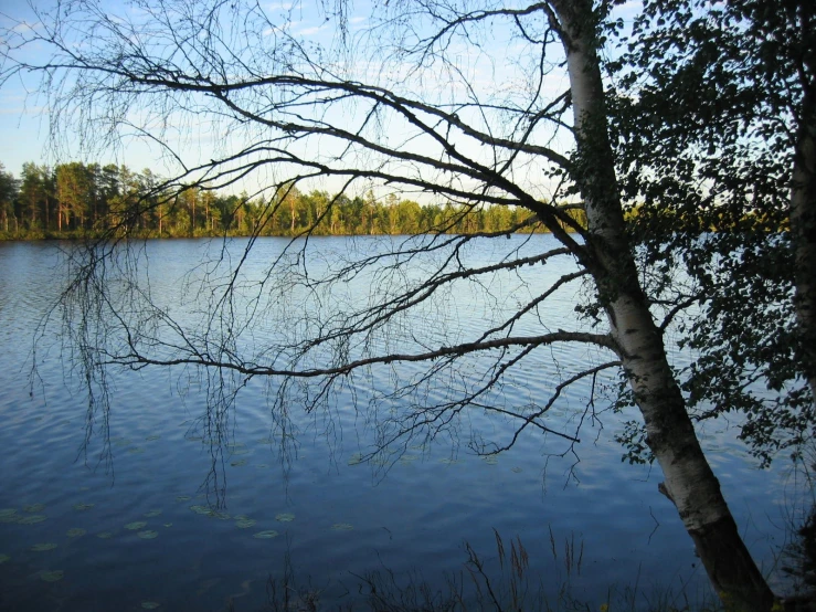 this is an image of the water that was calm