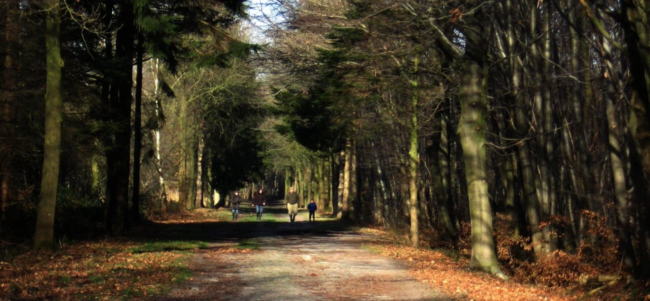 two people walking down a path in the woods