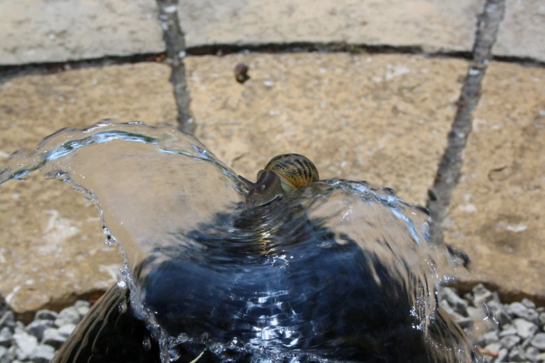 a fountain that is holding water and turning the water around it