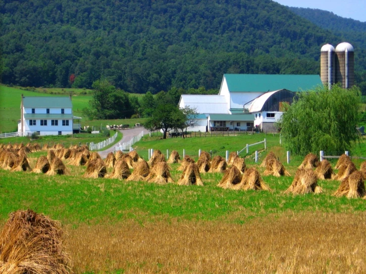 an outdoor scene of farm buildings with bales of hay