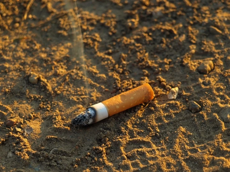an old cigarette that is on the ground