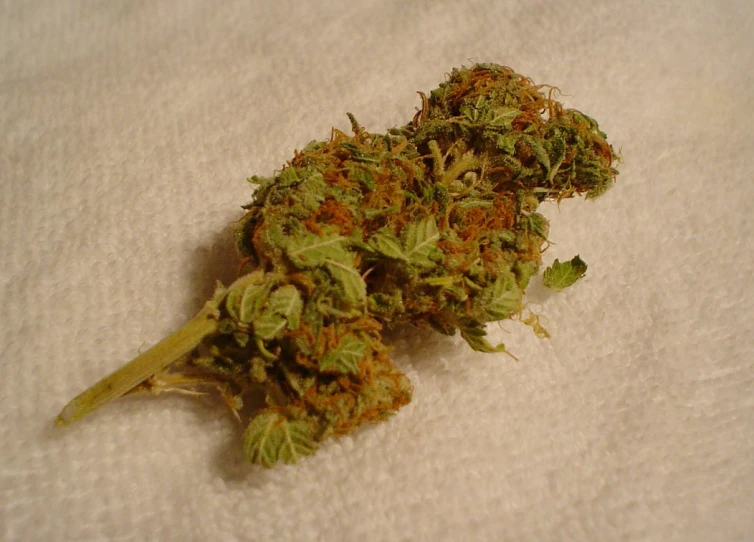 a marijuana flower is laying on a white sheet