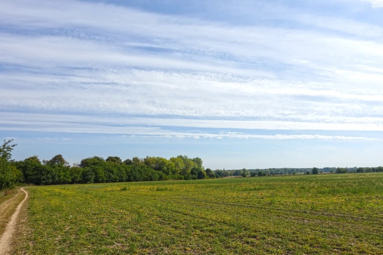 two people walking in a field while one man flies a kite