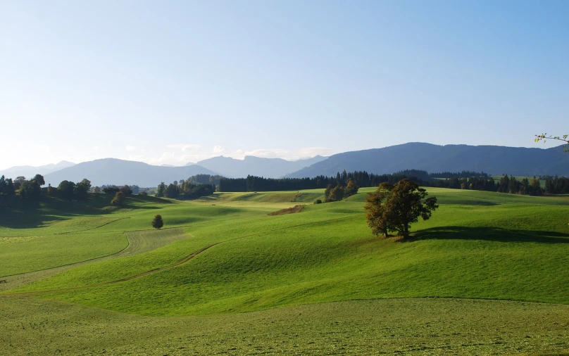 some very green hills and some trees and grass