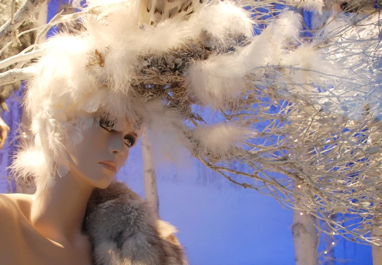 the display features different feathers, and a woman's head