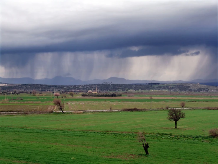 two green fields with grass and trees under a large storm filled sky