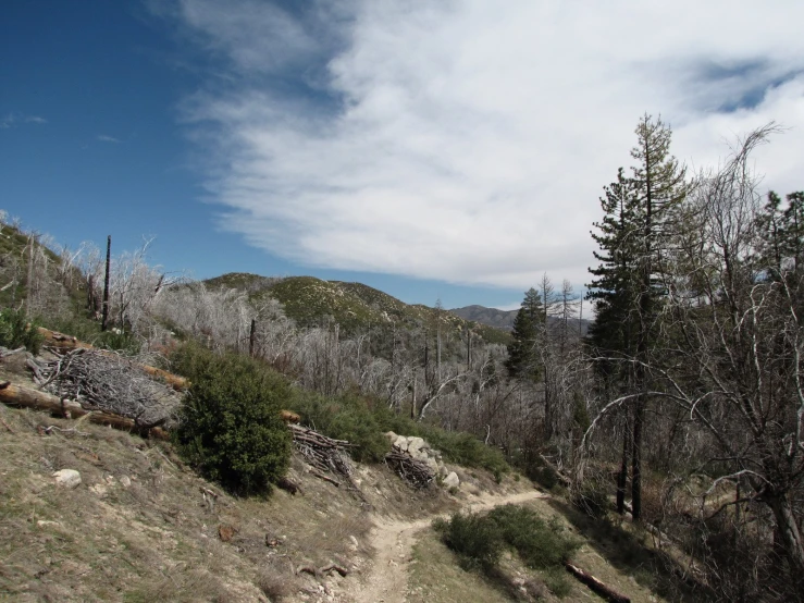 the path is going to the mountains where the trees are missing