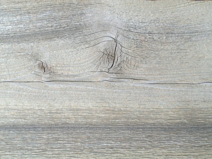 a small bird sitting on top of a wooden surface
