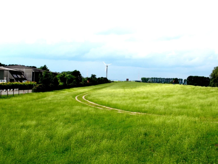 an empty green grass field with a street