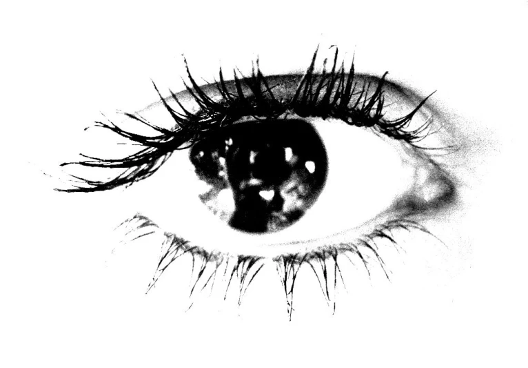 the front view of an eye showing eyelashes and lashes