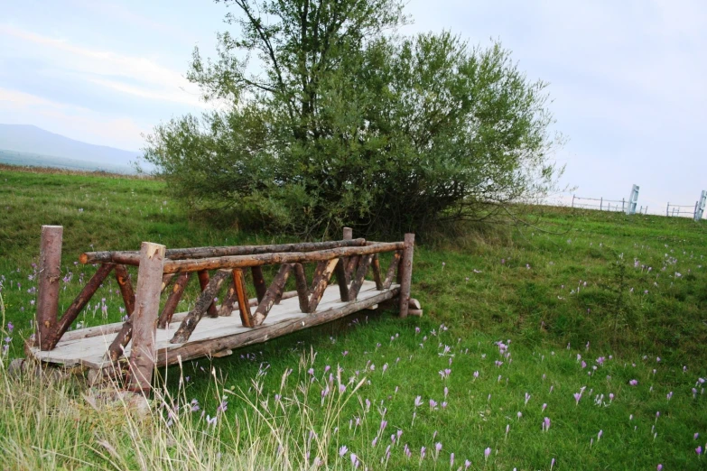 wooden bridge in grass and flowers by the side of the road