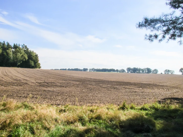 a large plowed field with trees in the distance