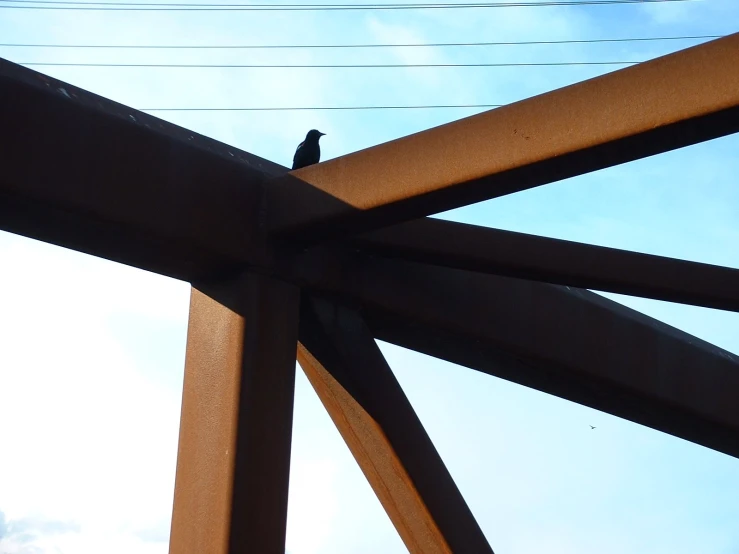 a bird sits on the top of an overpass