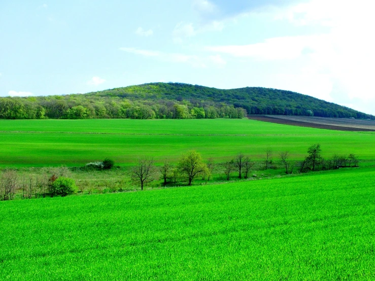 a lush green field that has a hill in the background