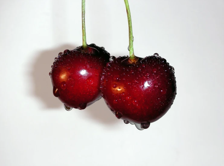 two cherry fruits hanging on string with water droplets