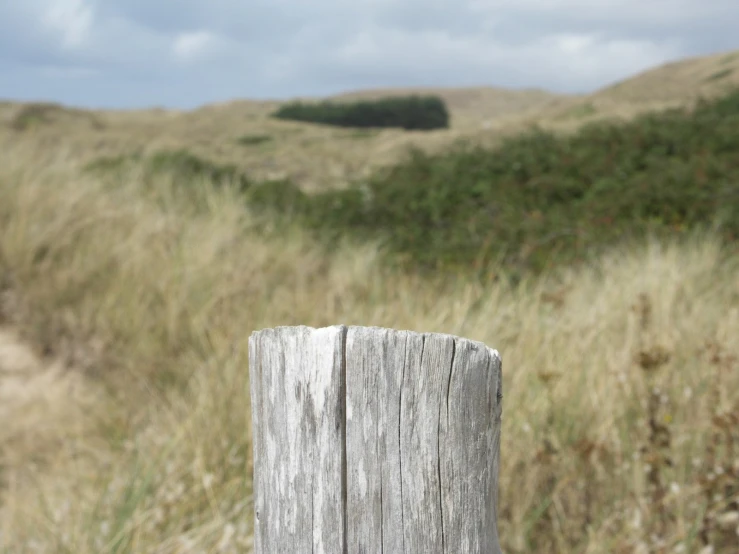 a wooden post with a grass and sky in the background