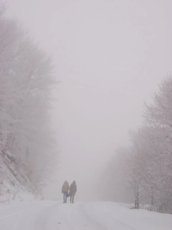 people walking on a snowy road in the woods