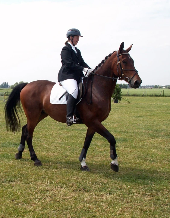 woman riding a horse with her leg off the ground