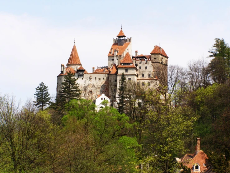 a castle built on top of a small hill in a wooded area