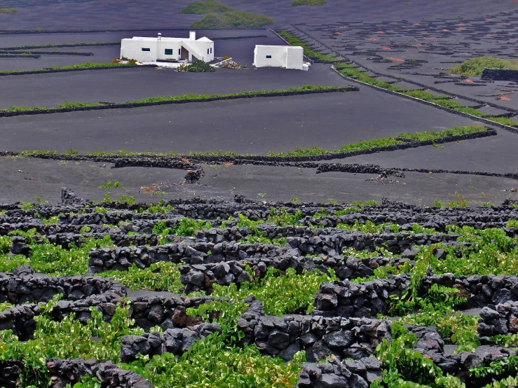 black and white farmed fields next to house in middle of town