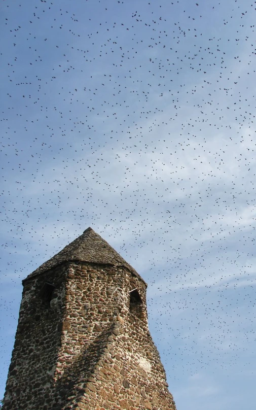 birds flying through the blue sky above an old brick tower