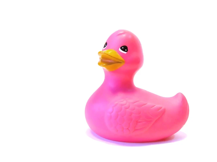 a pink rubber duck with big black eyes
