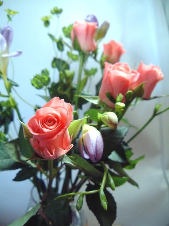 a vase filled with beautiful roses on top of a table