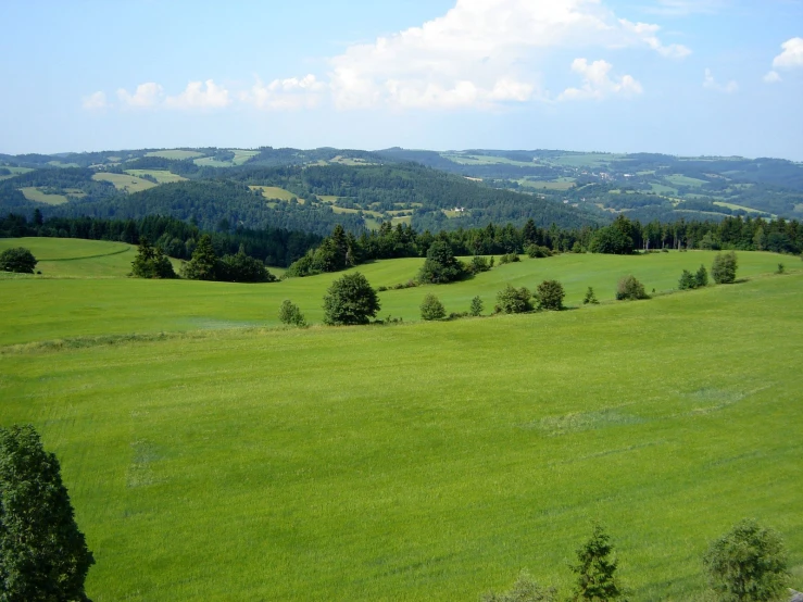 the fields are lush and green and some trees