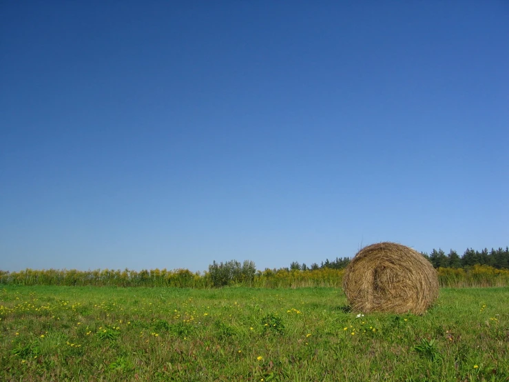 the hay bale in the field is a large one