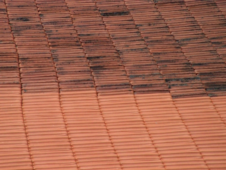 a single red cat stands on an old, weathered roof